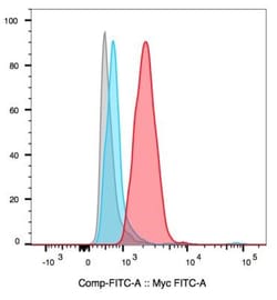 c-Myc Antibody (9E10) - BSA Free, Novus Biologicals:Antibodies:Primary